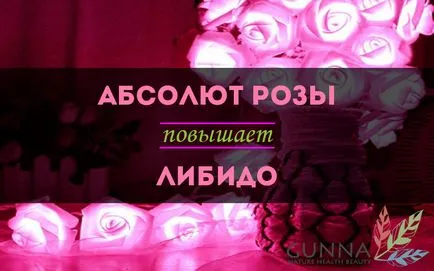 Rose Absolute - tulajdonságai és alkalmazásai, cikkek, gunna