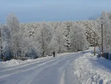 област Архангелск