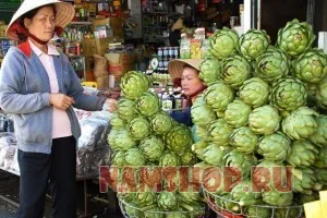 Anghinare din Vietnam ca o gumă