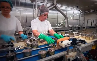 Fabrica de conserve Planul de afaceri pentru producția de carne de vită