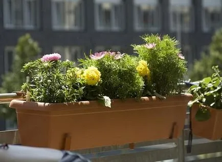 Cutii cu balcon cu flori de fixare