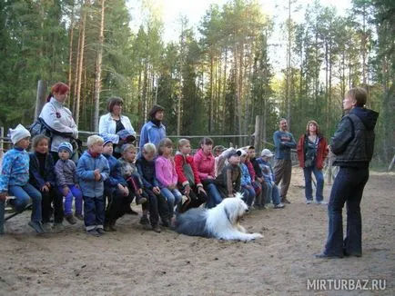 Centru de recreere „yaho“ - regiunea Kirov, pensiuni fotografii, preturi