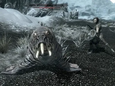 Boli de ghidare Biblioteca pentru Skyrim