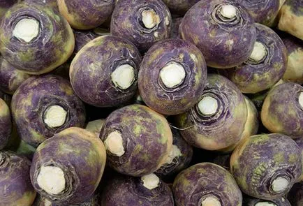 Rutabaga ültetés és gondozás, ültetés dátumokat, tenyésztési szabályok