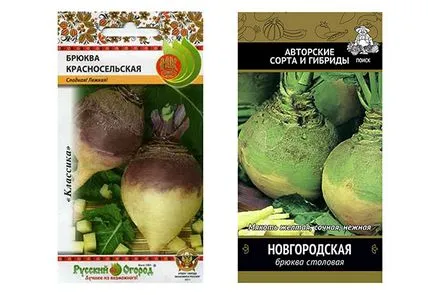 Rutabaga ültetés és gondozás, ültetés dátumokat, tenyésztési szabályok