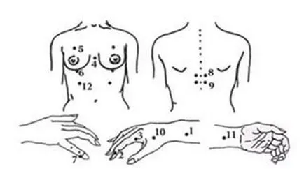 Масаж за увеличаване на гърдата у дома 7 варианти процедури за еластична увисването на бюста