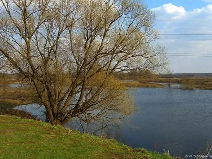 Църква на застъпничеството на Nerl в Bogolyubovo