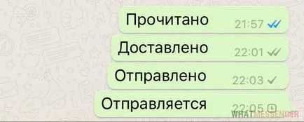 Какви са кърлежи в WhatsApp