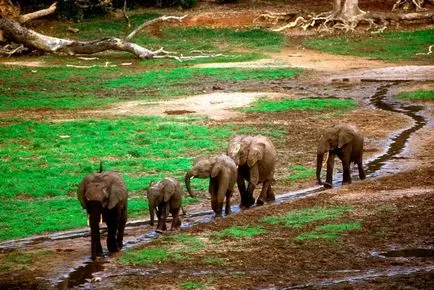 Chiang Mai - Северен Тайланд, които изглеждат, снимка, ревюта