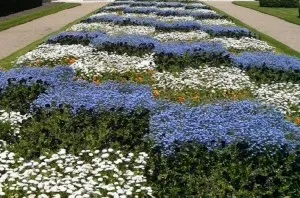 paturi de flori realizate în stil normal