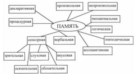 Декларативен и процедурна памет - психология и педагогика