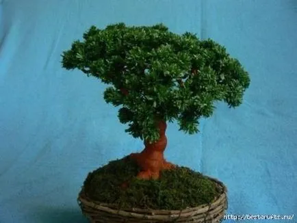 Bonsai copac de hârtie ondulat