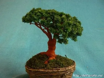 Bonsai copac de hârtie ondulat