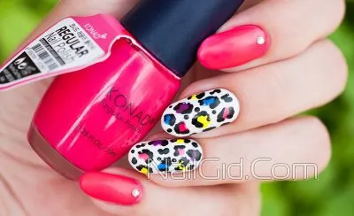 Nail Design mandula alakú számok, hírek és fotó oktatás