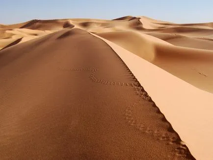 Dunes и пясъчни дюни в снимки