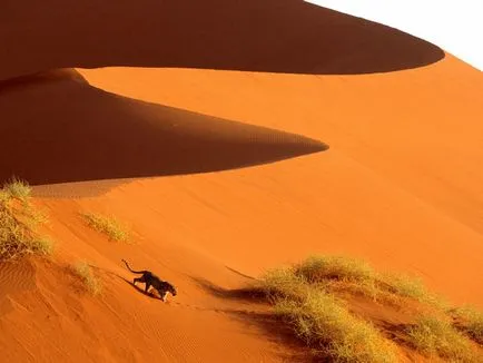 Dunes и пясъчни дюни в снимки