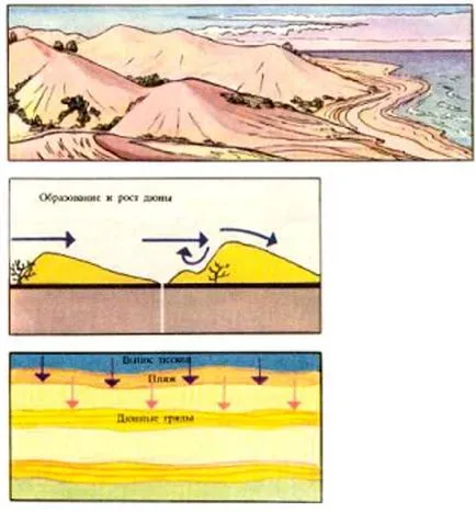 dicționar geografic Dunes