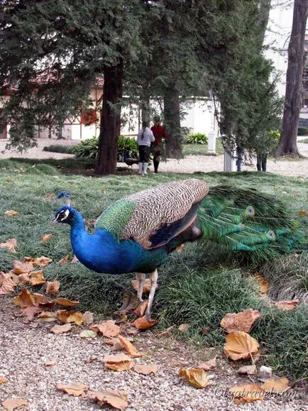 Palatul Dolmabahce din Istanbul - Palatul ultimele sultanilor otoman