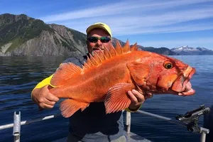 El Dorado de pește uimitor de diferite tipuri și caracteristici de pescuit