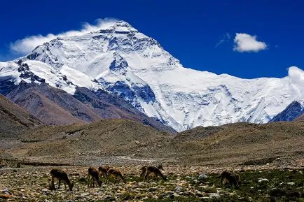 Everest altitudine sau cum să meargă la partea de sus