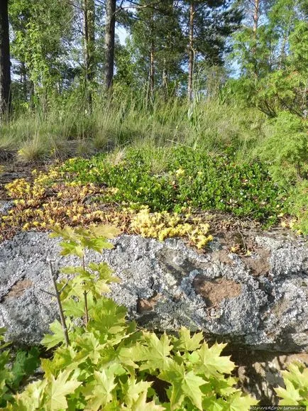 Virtuális túra a remetelak Valaam (Valaam, Magyarország)