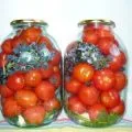 Пълнени домати зелени през зимата, топла във фурната, рецепти със сирене и чесън