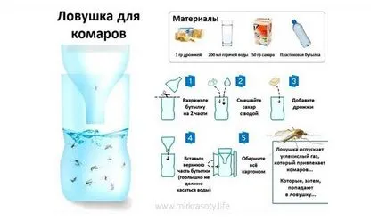 capcană ingenioasa țânțari dintr-o sticlă simplă