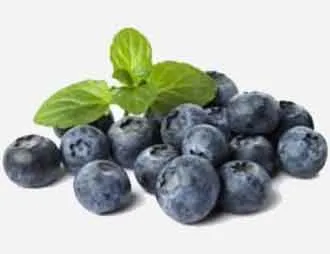 Blueberry Garden - засаждане и грижи
