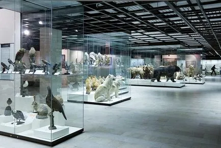 Állami Darwin Múzeumban 2017