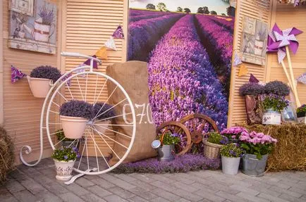 Bútor stílusában Provence a nappali, előszoba, konyha, hálószoba és fürdőszoba, gyönyörű belső terek és szobák