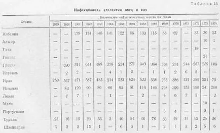 Elapasztását juhok és kecskék - szól az állattenyésztés