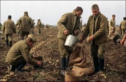 Cum și ce să mănânce în URSS