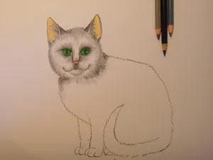 Cum de a desena o pisica, trage un creion în etape, copilul meu