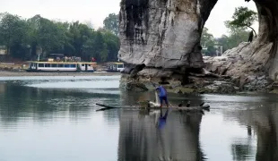 Hogyan lehet elkapni a fehérhúsú