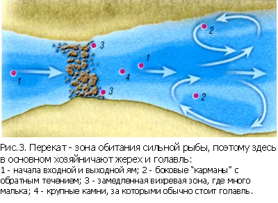 Как да намерите обещаващо място за риболов в голямата река - риболов в България и по света