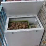 Hogyan kell tárolni a zöldségeket egy erkélyen a nyári és téli (videó)