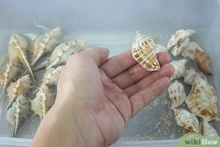 Hogyan tegyük egy nyaklánc készült kagyló