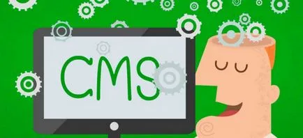 Ce CMS on-line magazin pentru a alege un novice