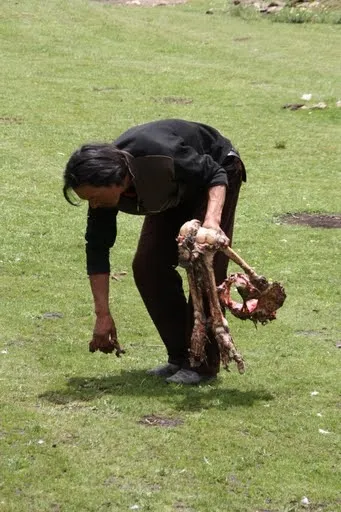 Hogyan temetni Tibetben (befolyásolható nem nézni), Tao kiejtett szó