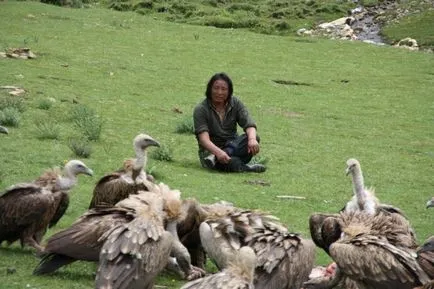 Hogyan temetni Tibetben (befolyásolható nem nézni), Tao kiejtett szó