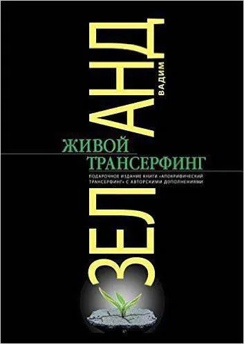 Книги Вадим Зеландия