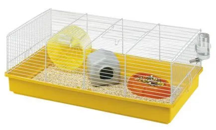 Cage Jungar acasă de hamster pentru dzhungarika (foto)