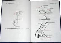 Craniana Echipament pentru tratarea osteopatie Protocoale Burton