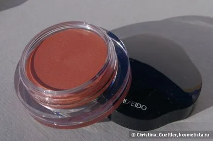 Антиперспиранти сянка с трептене ефект Shiseido блестящо цвят на очите тегл 901 мъгла, или 313 sunshower