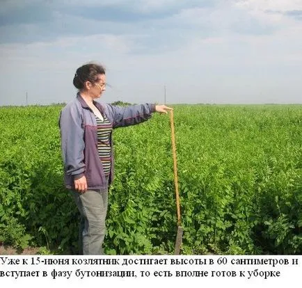 Farmer egy megjegyzés