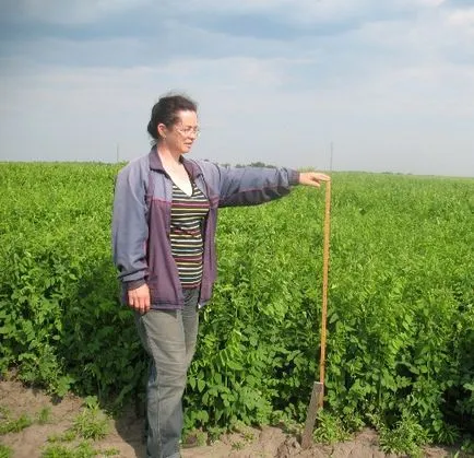 Farmer egy megjegyzés