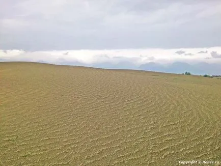 dune Kuitunsk - comentarii fotografie