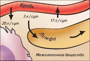 test nyirokmasszázs