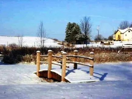 Pentru a da podului - idei fotografie, dând propriile mâini