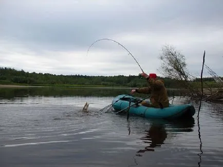 Pike halászati ​​spinning június - kezelésére, spinning gépek, csalétek